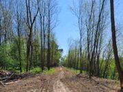 Al via i lavori della Ciclopista dell’Arno