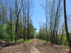 Al via i lavori della Ciclopista dell’Arno