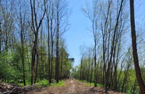 Al via i lavori della Ciclopista dell’Arno
