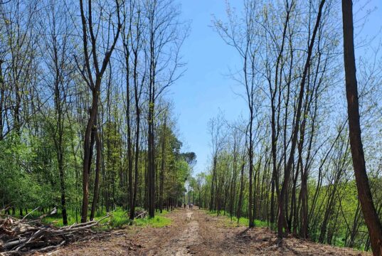 Al via i lavori della Ciclopista dell’Arno